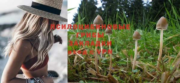 прущие крисы Дрезна
