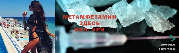 шишки Осинники