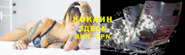 дживик Абинск