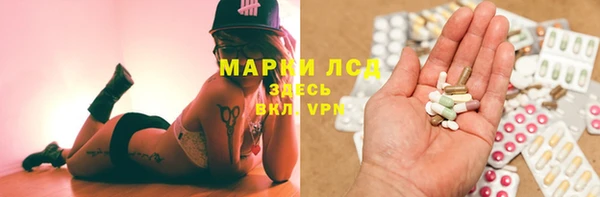 шишки Осинники