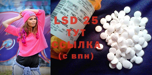 шишки Осинники