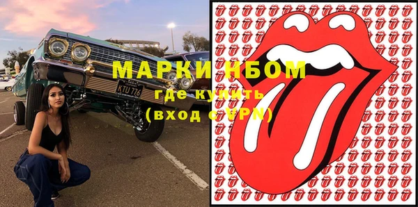шишки Осинники