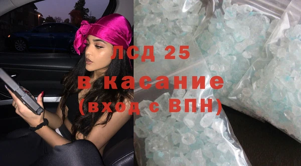 шишки Осинники